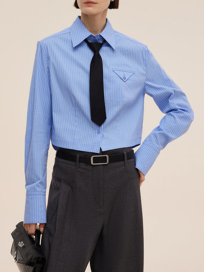 Blue And White Stripe Women Long Sleeve Shirt