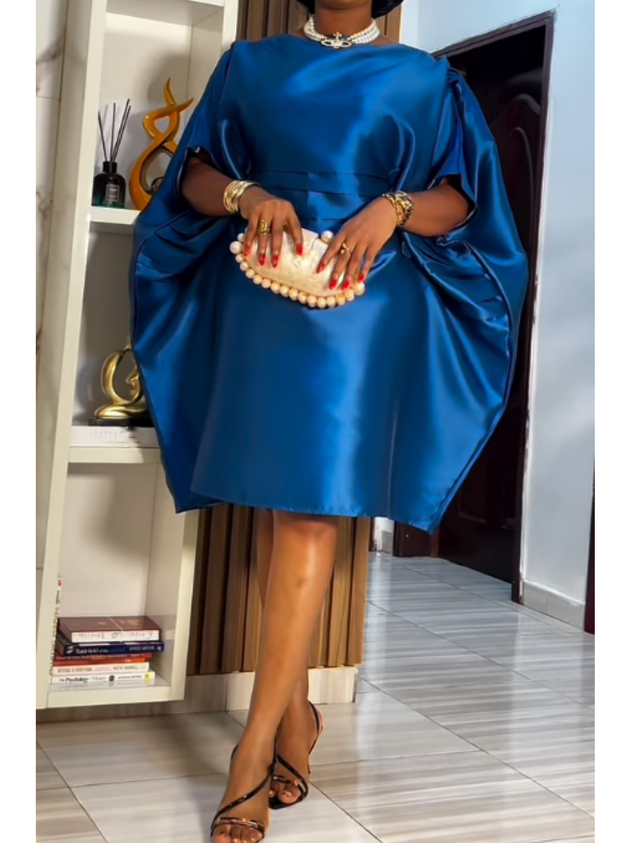 Classy Dazzle Occasion Dress